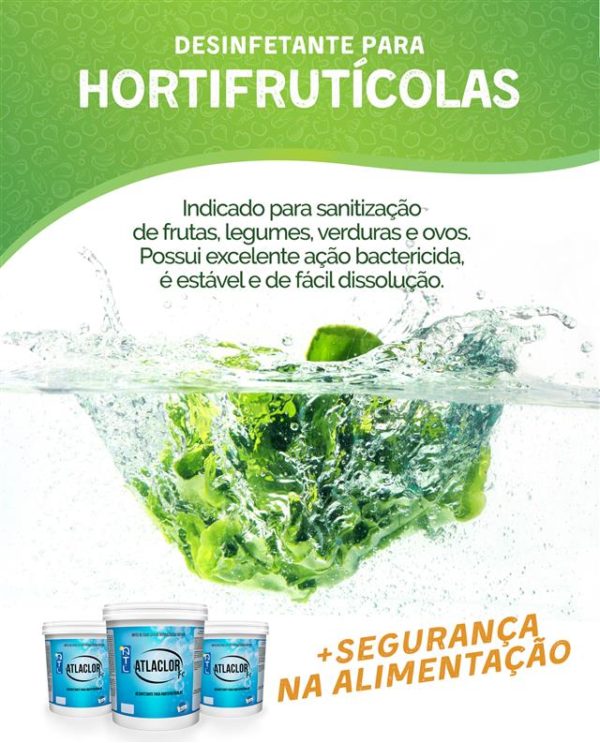 Atlaclor FC - Sanitizante Hortifrutícolas - Image 2